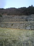 2012012216590000.jpg